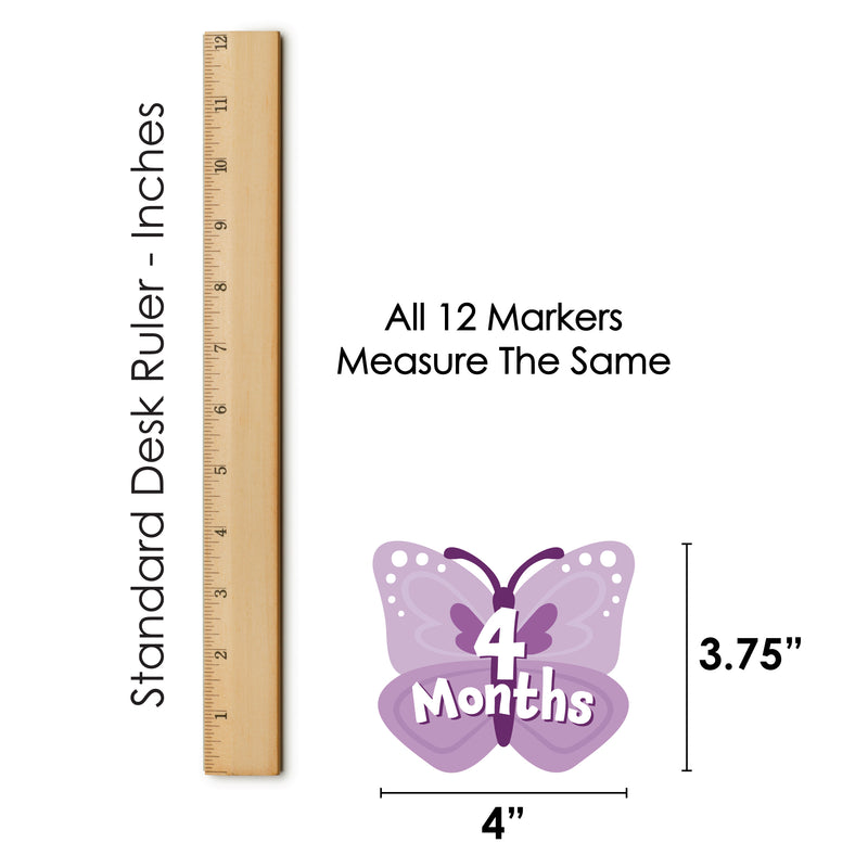Beautiful Butterfly - Floral Baby Monthly Cards - Shaped Acrylic Milestone Markers - Set of 12