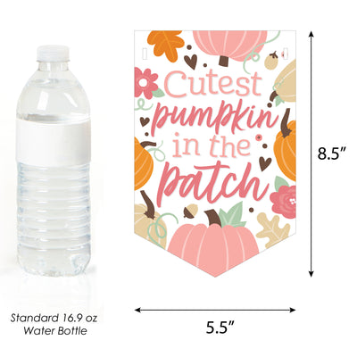 Girl Little Pumpkin - Fall Birthday Party or Baby Shower Bunting Banner - Party Decorations - Little Pumpkin
