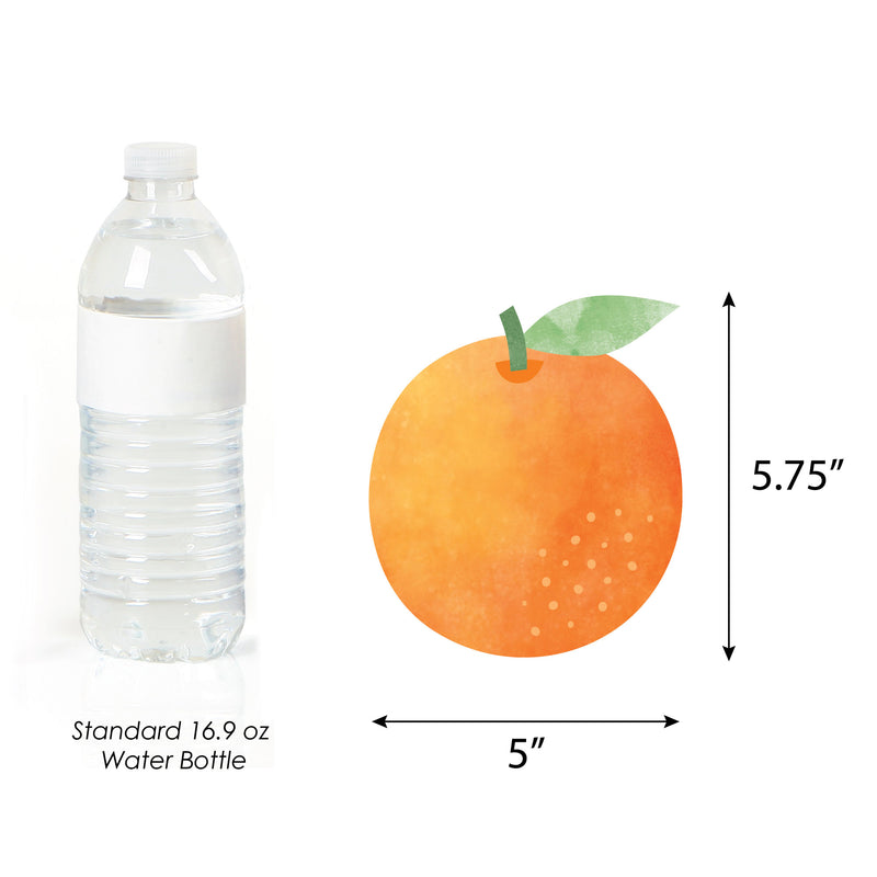 Little Clementine - Decorations DIY Orange Citrus Baby Shower or Birthday Party Essentials - Set of 20