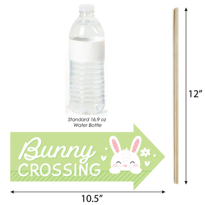 Funny Spring Easter Bunny - Happy Easter Party Photo Booth Props Kit - 10 Piece