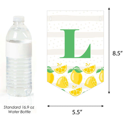 So Fresh - Lemon - Citrus Lemonade Party Bunting Banner - Party Decorations - Lemonade Stand