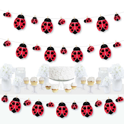 Happy Little Ladybug - Baby Shower or Birthday Party DIY Decorations - Clothespin Garland Banner - 44 Pieces