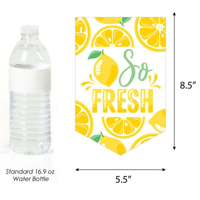 So Fresh - Lemon - Citrus Lemonade Party Bunting Banner - Party Decorations - Lemonade Stand
