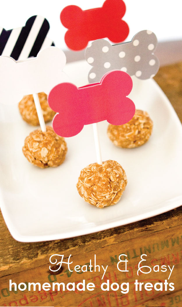 5 Healthy and Easy Homemade Dog Treat Recipes