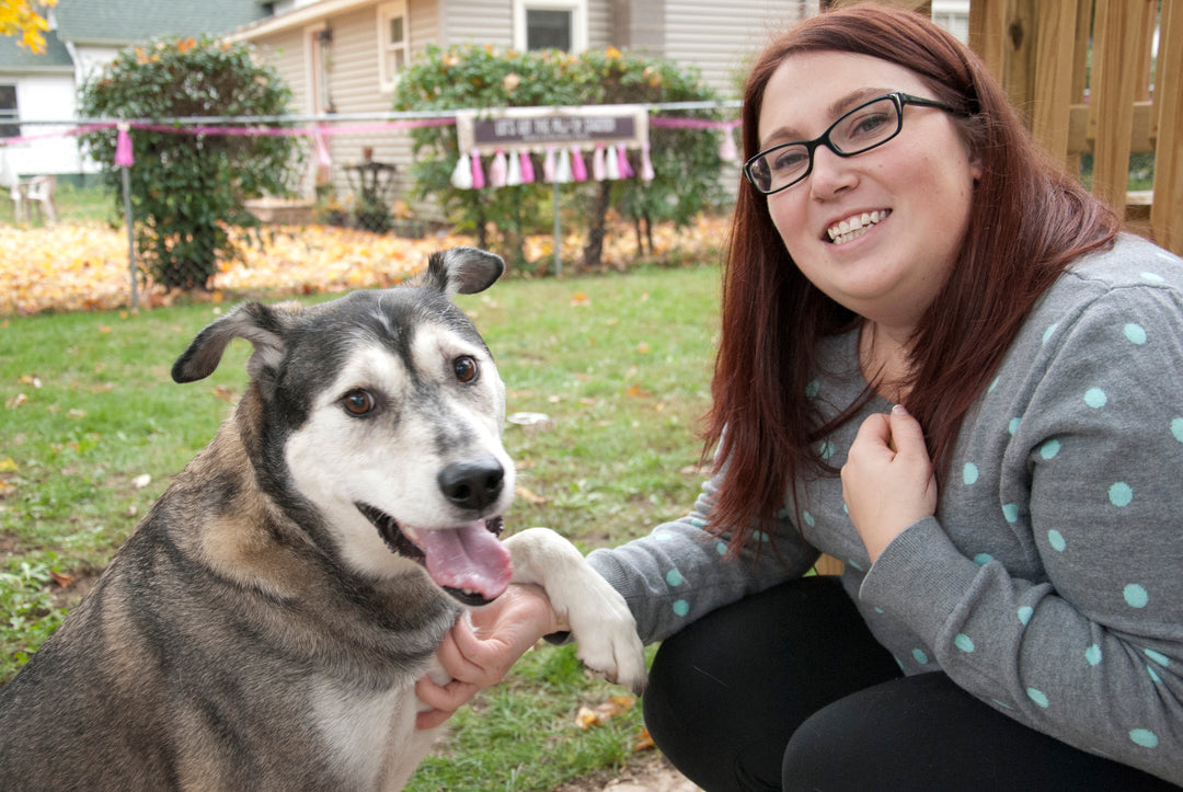 5 Tips to Adopting a Dog