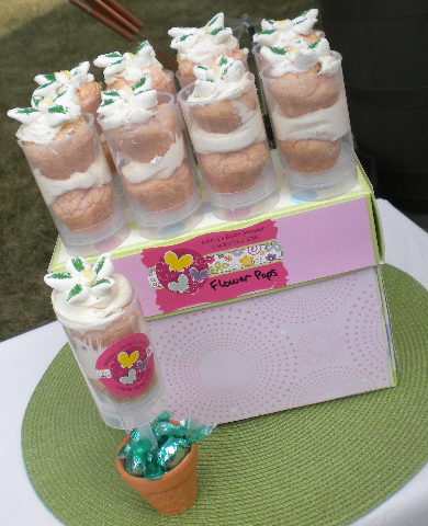 Baby Shower Recipe Idea: Flower Push Pops that are Pretty & Delicious!