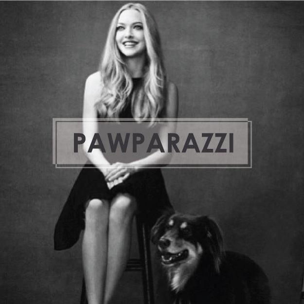 Pawparazzi: Amanda Seyfried and Finn Are The Perfect Balance