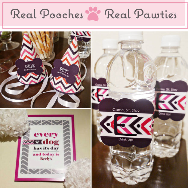 REAL POOCHES | REAL PAWTIES: Chevron Girl Dog Birthday Party