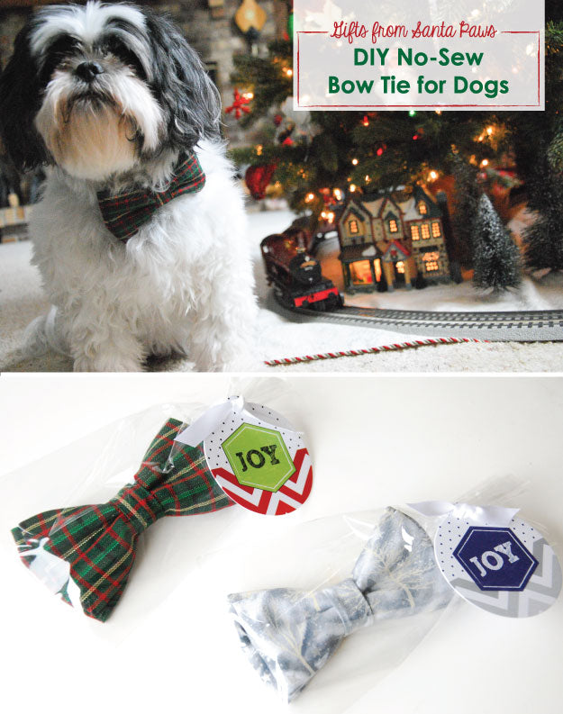 DIY No-Sew Bow Tie from Santa Paws
