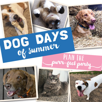 Dog Days of Summer: Plan the Purr-fect Party