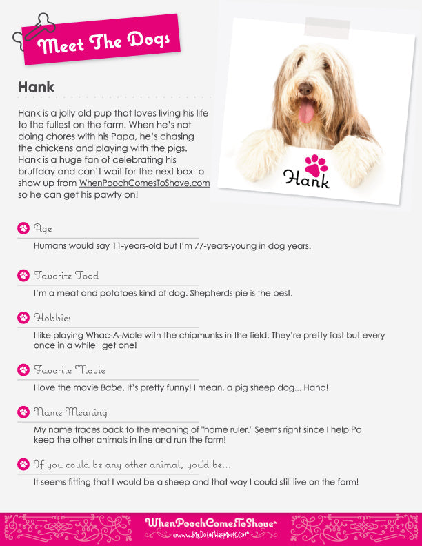 Dogs of the Blog: Hank