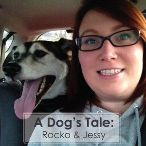 A Dog’s Tale: Rocko &amp; Jessy