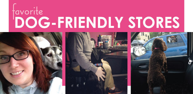 Our Favorite Dog-Friendly Stores