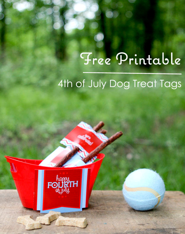 {Free Printable} 4th of July Treats For Your Dog