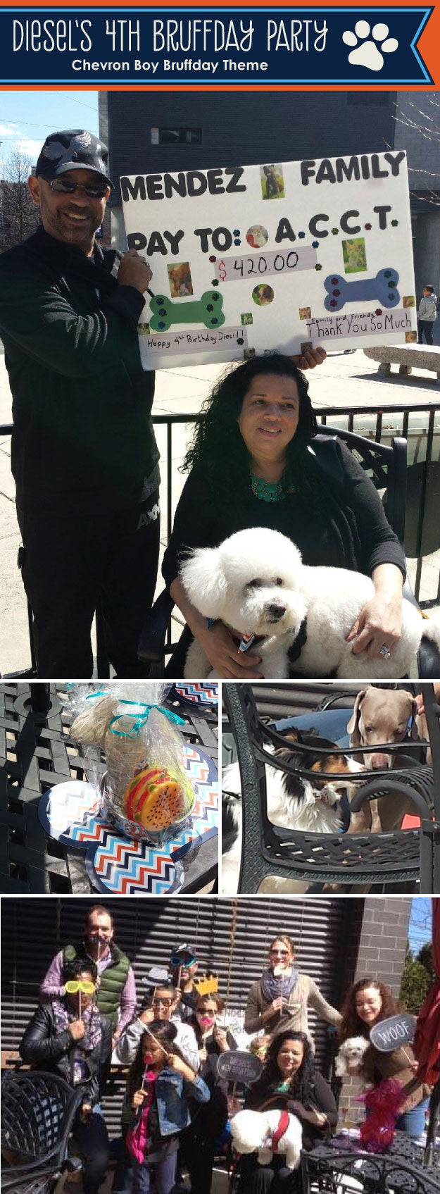 Fun Ways to Raise Money for Your Local Humane Association