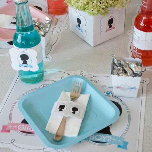 Introducing our New Gender Reveal Party Kit!