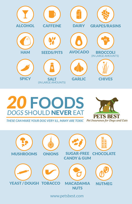 Keeping Fido Healthy: Dangerous People Foods for Dogs