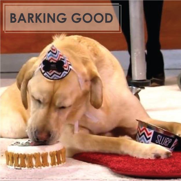 Look Who's Barking: Better Show