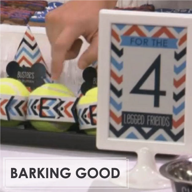 Look Who's Barking: Good Day Baltimore