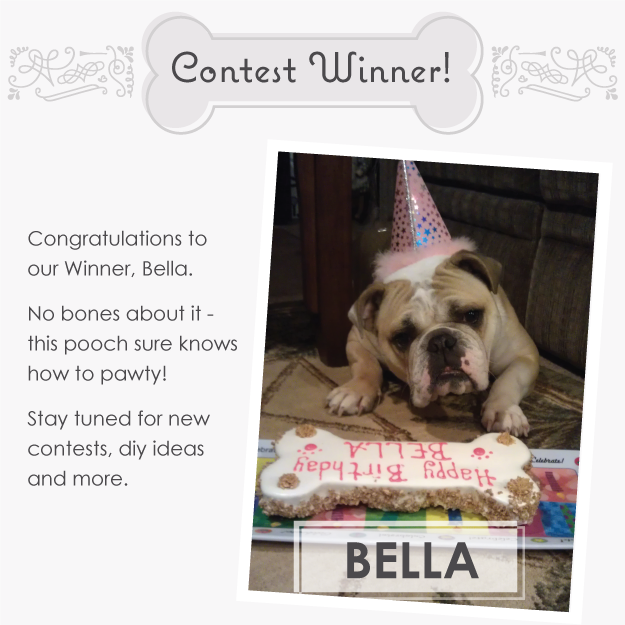 Pawty Animal Contest Winners