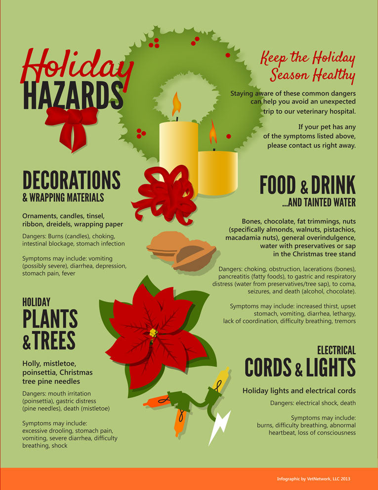 Holiday Safety for Pets: Hazards Around the House