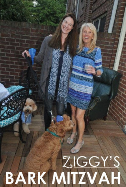 REAL POOCHES | REAL PARTIES: Ziggy's Bark Mitzvah