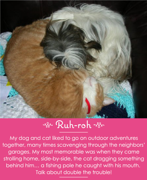 {Ruh-roh} Dog Moment #37 – Adventure Time!