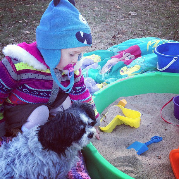 Tips for Dogs and Kids