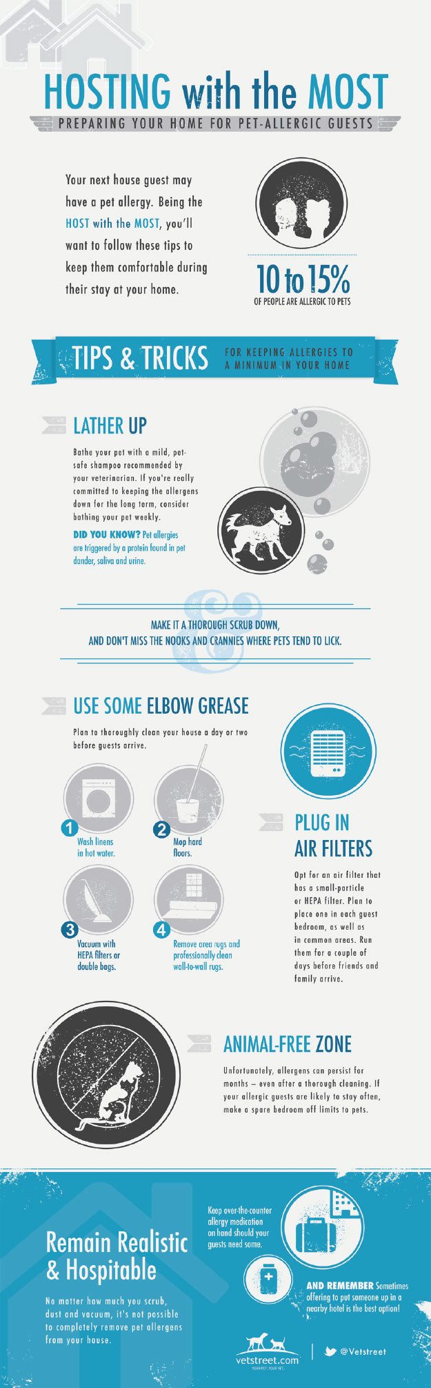 Tips for Removing Pet Allergens From Your Home