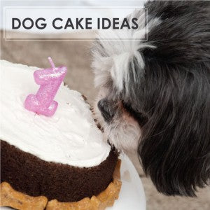 Where Do I Find a Dog Cake?