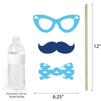 Taking Flight - Airplane - Vintage Plane Baby Shower or Birthday Party Photo Booth Props Kit - 20 Count