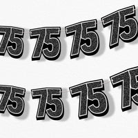 adult 75th birthday party garland banner