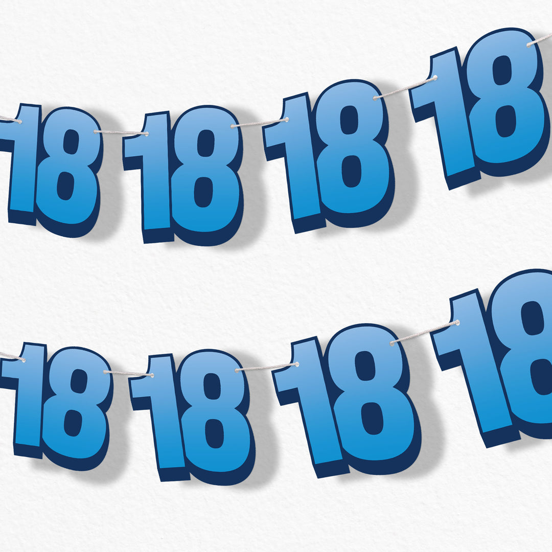 18th birthday party garland banner