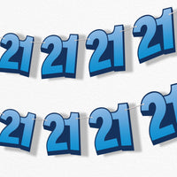 21st birthday party garland banner