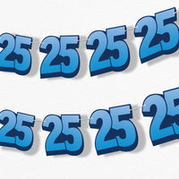adult 25th birthday party garland banner