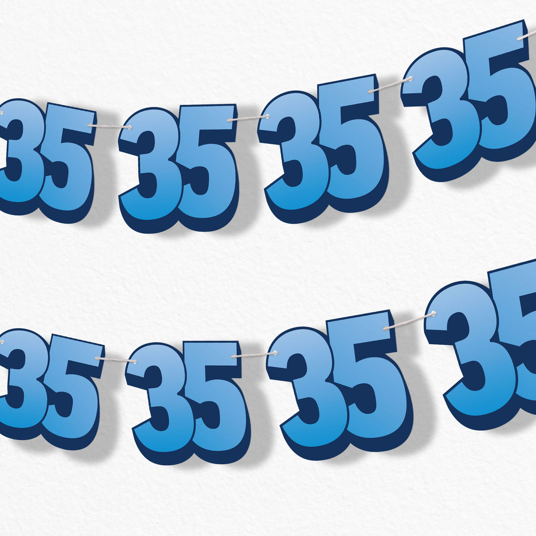 adult 35th birthday party garland banner
