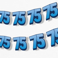 adult 75th birthday party garland banner