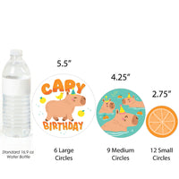 Capy Birthday - Capybara Party Giant Circle Confetti - Party Decorations - Large Confetti 27 Count