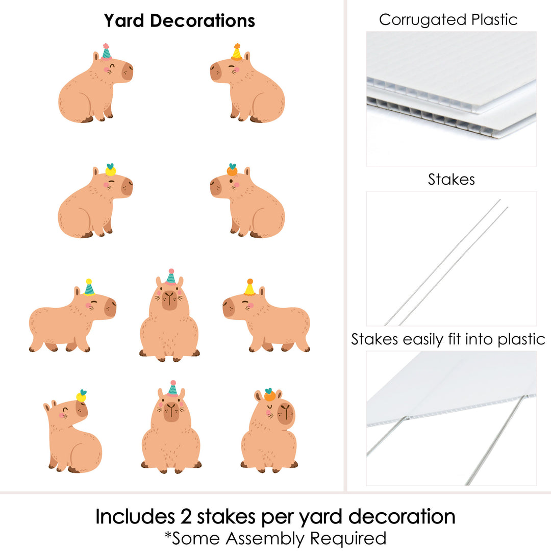 Capy Birthday - Lawn Decorations - Outdoor Capybara Party Yard Decorations - 10 Piece