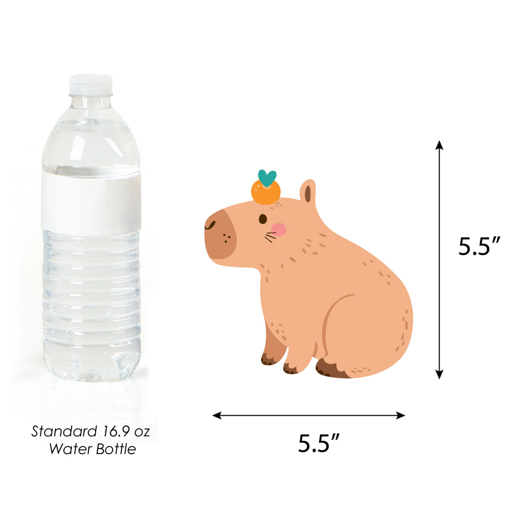 Capy Birthday - Decorations DIY Capybara Party Essentials - Set of 20