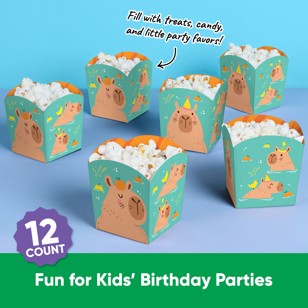 Capy Birthday Treat Boxes - 12 Ct