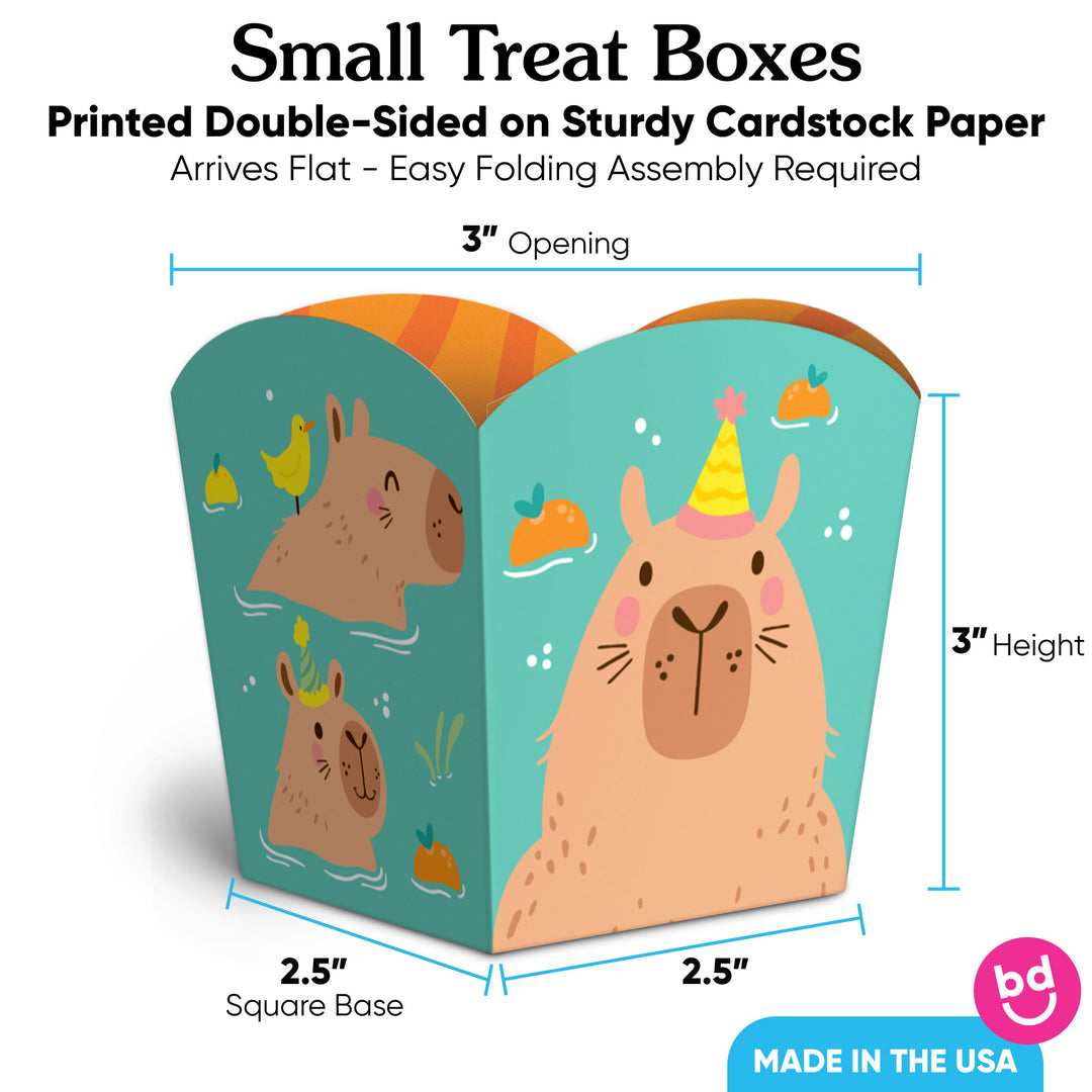 Capy Birthday Treat Boxes - 12 Ct