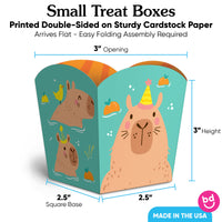 Capy Birthday Treat Boxes - 12 Ct