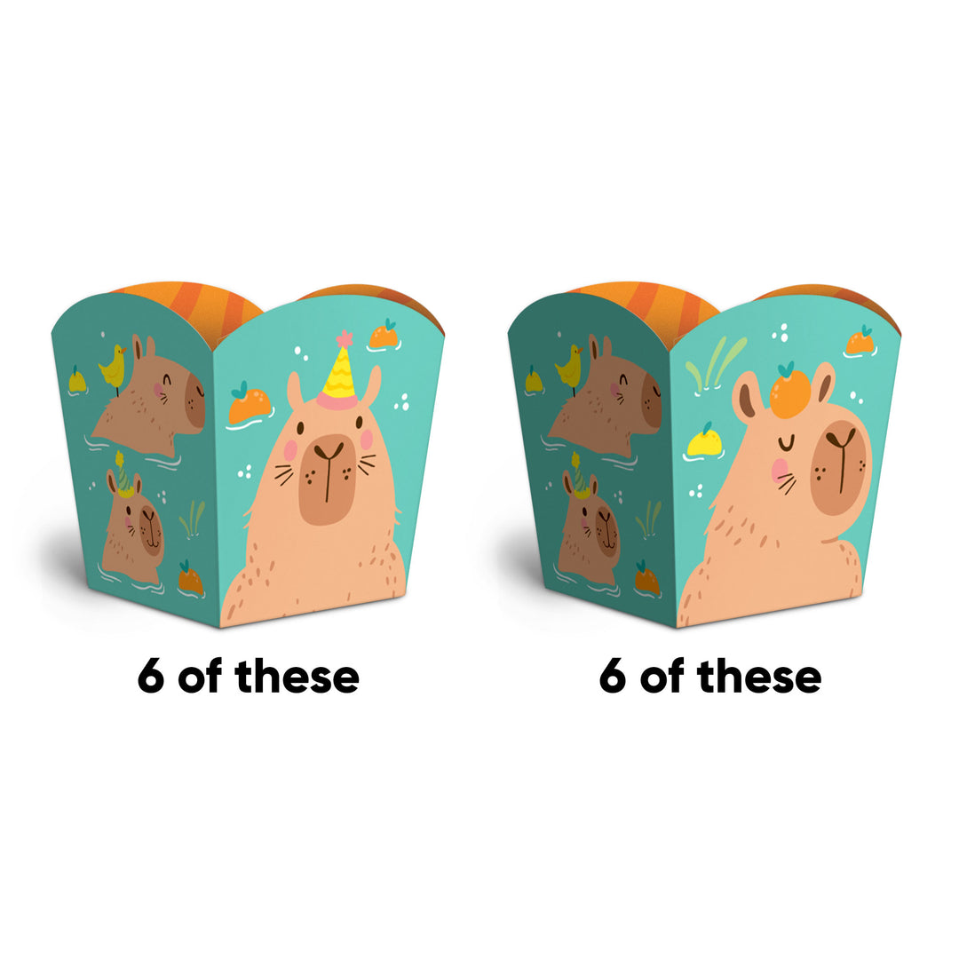 Capy Birthday Treat Boxes - 12 Ct