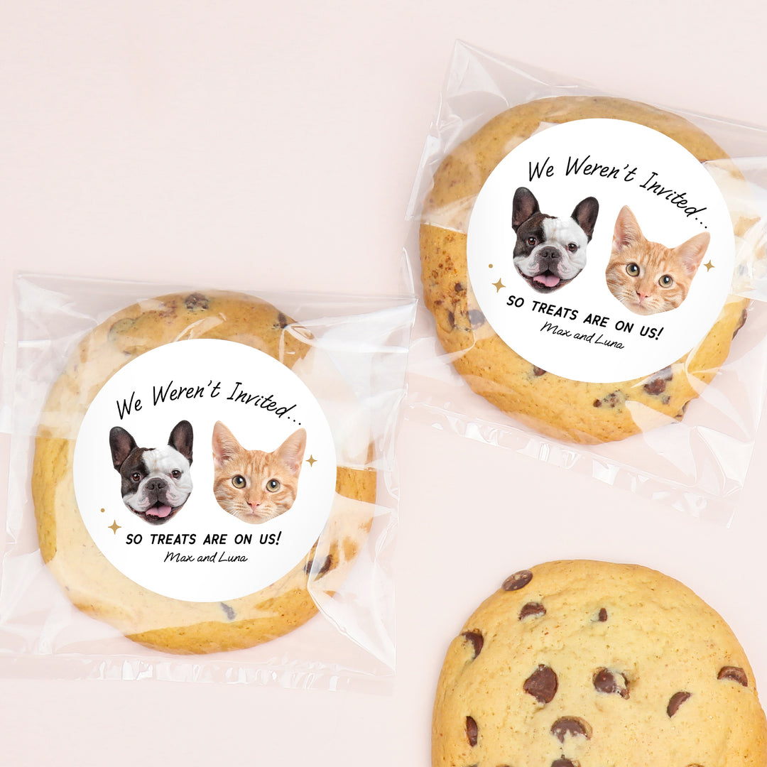 Custom Face Stickers & Clear Cookie Bags - Drinks On Us