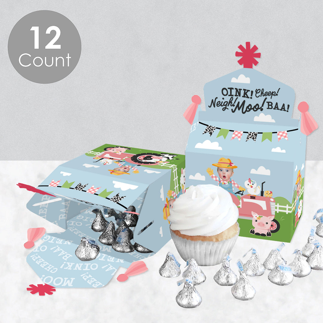 Custom Photo Girl Farm Animals - Pink Barnyard Birthday Treat Box Party Favors - Fun Face Goodie Gable Boxes - Set of 12