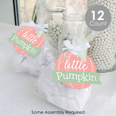 Girl Little Pumpkin - Fall Birthday Party or Baby Shower Clear Goodie Favor Bags - Treat Bags With Tags - Set of 12