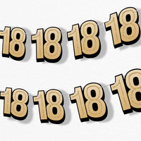 18th birthday party garland banner
