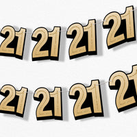 21st birthday party garland banner