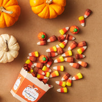 Happy Thanksgiving - Party Mini Favor Boxes - Fall Harvest Party Treat Candy Boxes - Set of 12